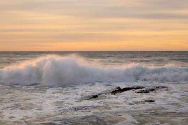 1731942244537 1731942244537